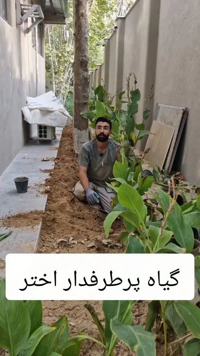 تیم ماهورا فعال در فضای سبز