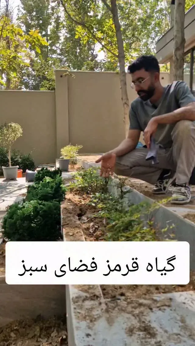 تیم ماهورا فعال فضای سبز