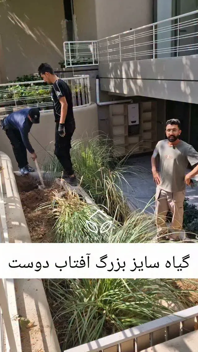 تیم ماهورا فعال فضای سبز
