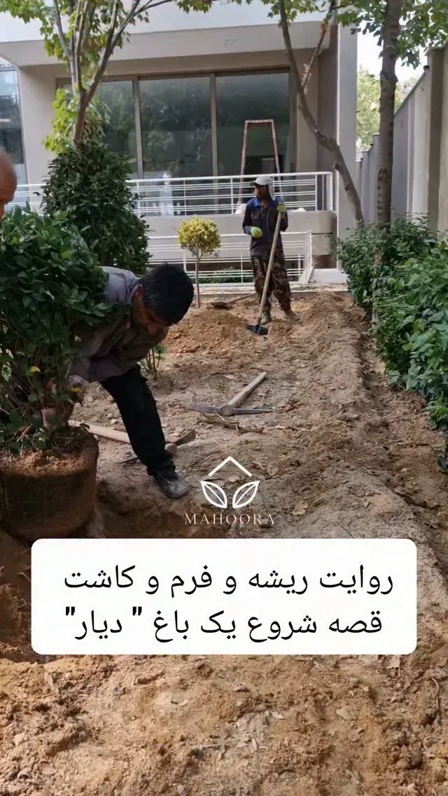 خلق باغ " دیار " یه قصه دیگه از تیم ماهورا اینجا رو خیلی دوست دارم از بدو ورود چنار و گردوها به استقبالت میان نیاز نیست دنبال باغ بگردی وارد…
