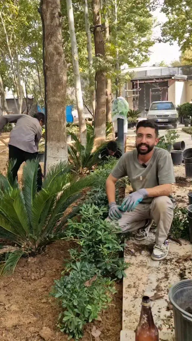 میخک هندی برای حاشیه راهرو ورودی تیم ماهورا فعال در طراحی و اجرا فضای سبز صفر تا صد