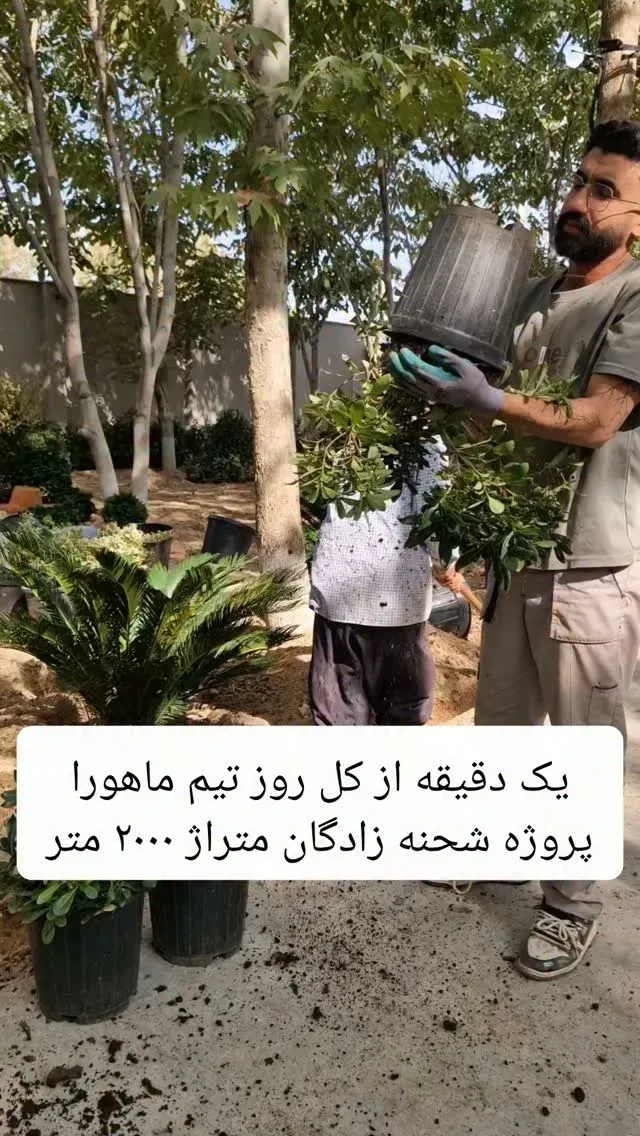 ویلا شحنه زادگان دوکوهک همکاری با معمار محترم پروژه مهندس شهیدی @ambiance_architecture.studio گل و گیاه از گلخانه@alibehzadi.8212 تیم ماهورا…
