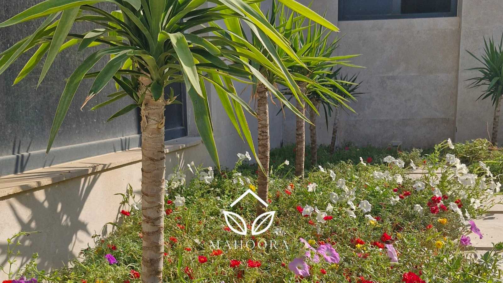 ویلا بندر گناوه