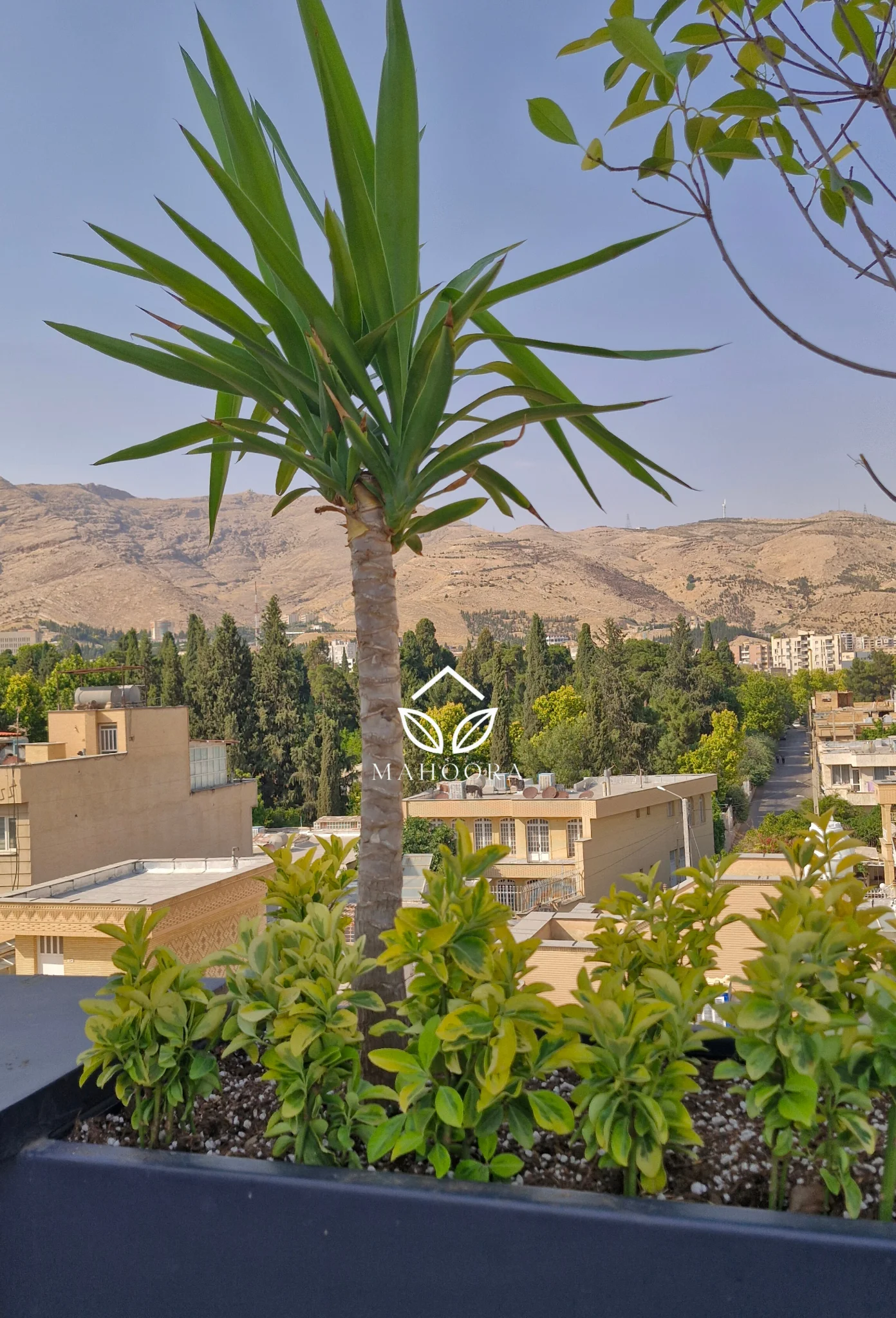 طراحی و اجرای روف گاردن و بام سبز در شیراز — 5