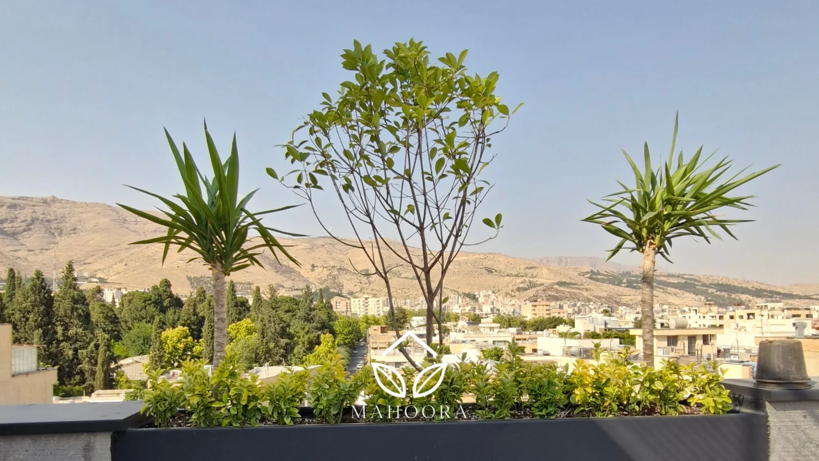روف گاردن ارم